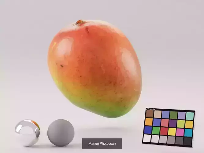 Tropical Fruit Pack 4