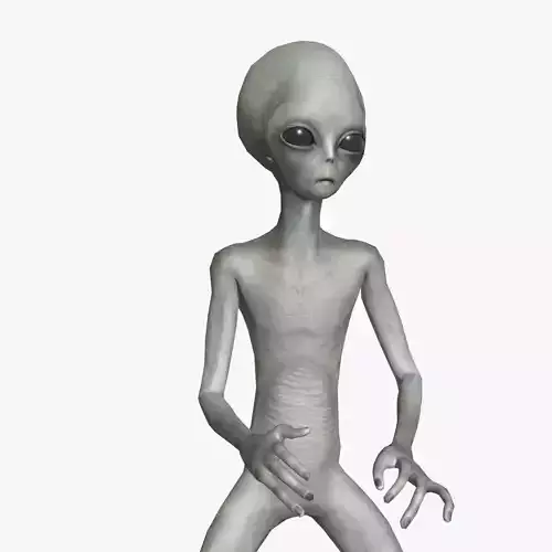 Super-Realistic Gray Alien 3D Animation - Shake Fist 3D model