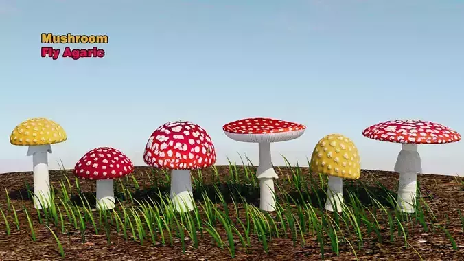 Fly Agaric Mushroom