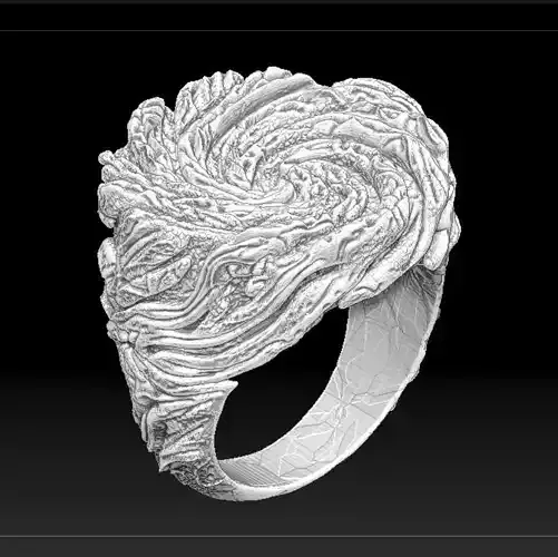 Vortex Ring 3D print model