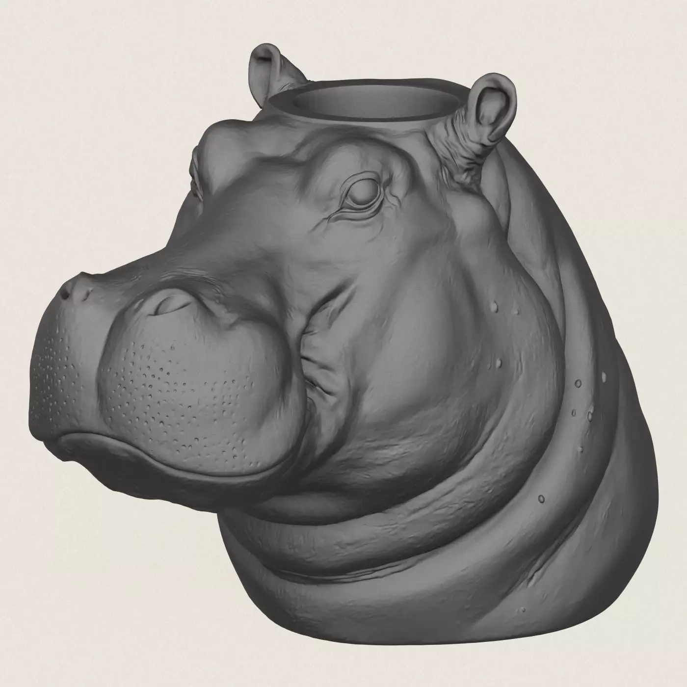 Hippopotamus Face Vase 3D print model