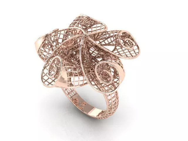 Ring ultra vision 3D print model_0