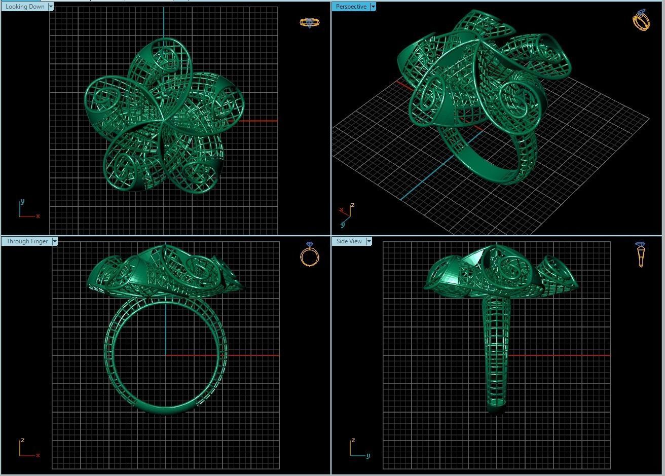 Ring ultra vision 3D print model_2