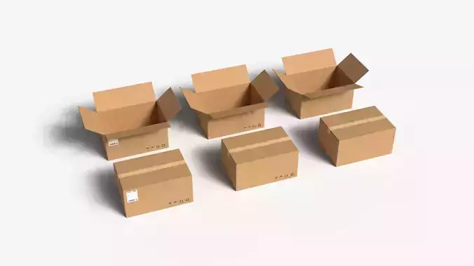 Cardboard Box  Large  Open  Closed Mini Pack PBR