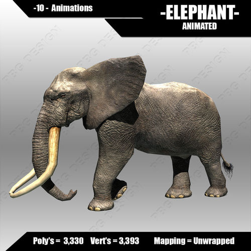 African Elephant Low-poly 3D model