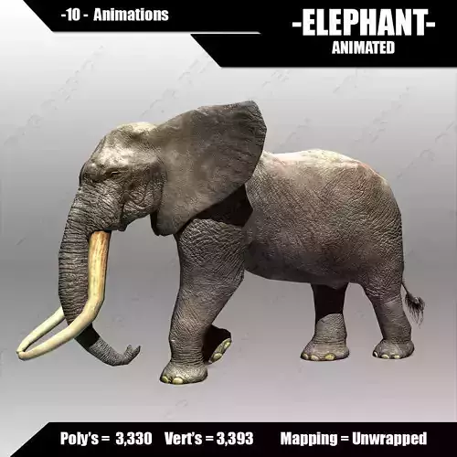 African Elephant Low-poly 3D model