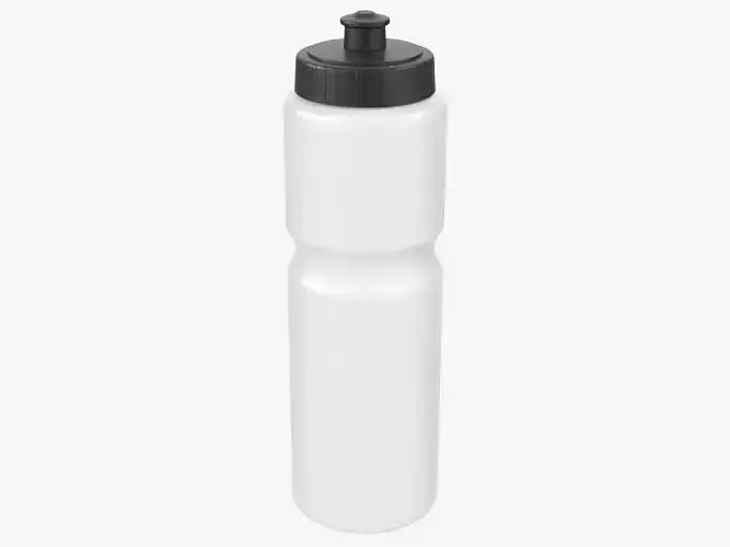 Sports Bottle 2 