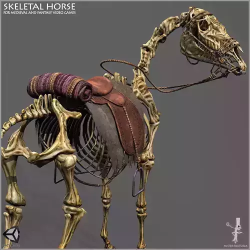 Skeletal Horse Low-poly 3D model