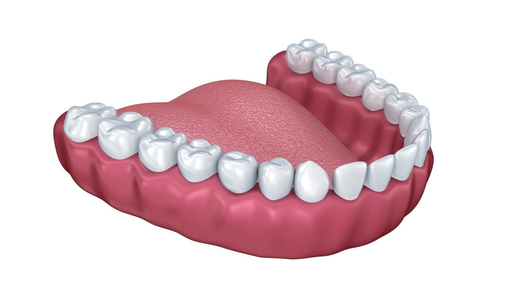 Human Lower teeth crown and dental implant  3D model_10
