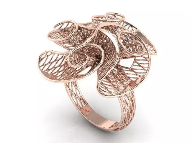 Ring ultra vision 3D print model_0