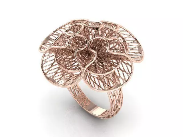 Ring ultra vision 3D print model_0