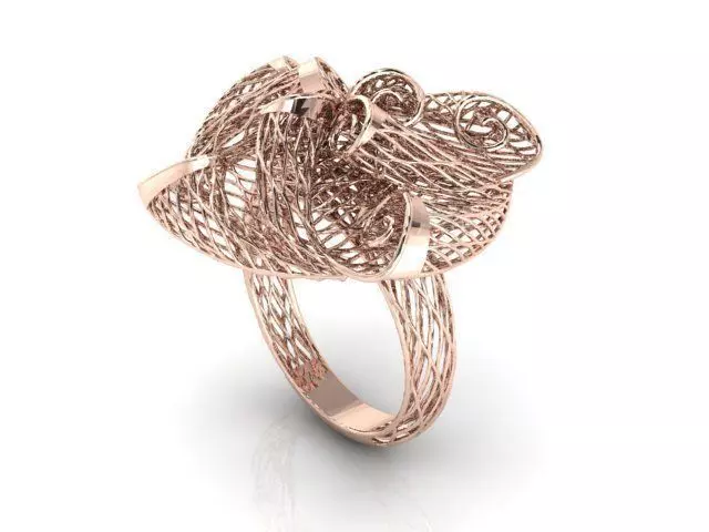 Ring ultra vision 3D print model_0