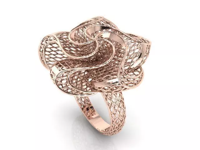 Ring ultra vision 3D print model_0