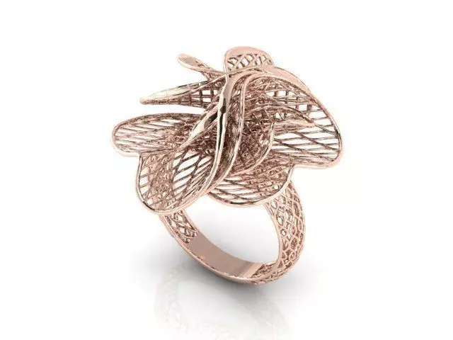 Ring ultra vision 3D print model_0