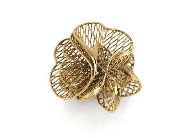 Ring ultra vision 3D print model_1