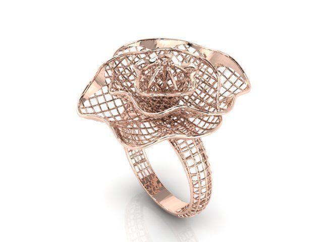 Ring ultra vision 3D print model