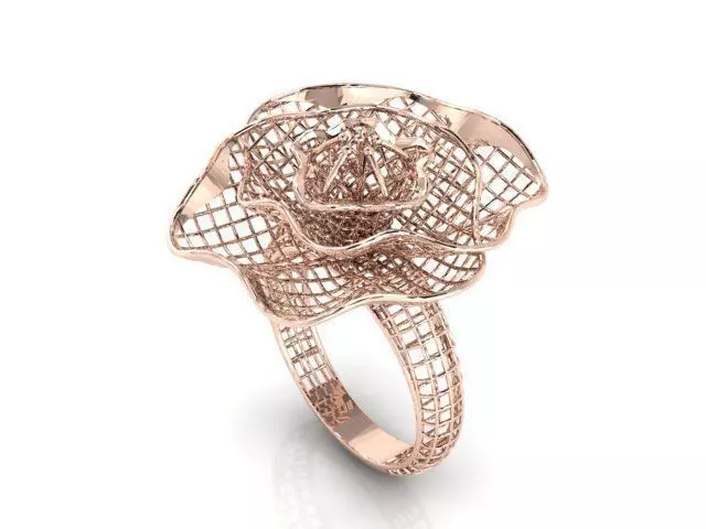 Ring ultra vision 3D print model_0