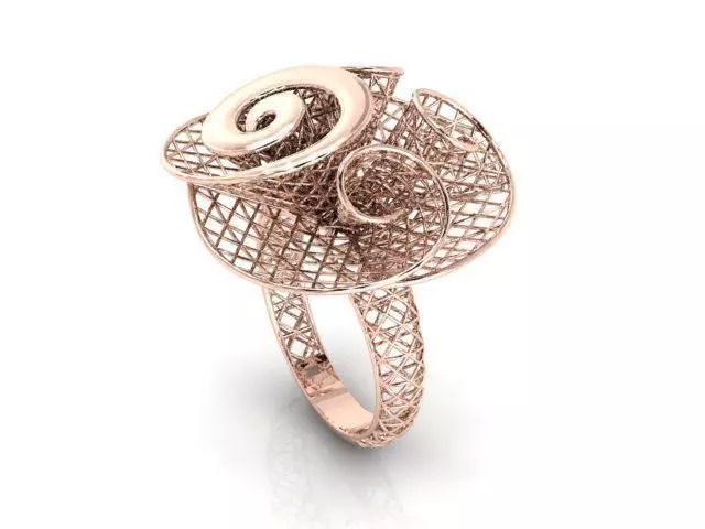 Ring ultra vision 3D print model_0