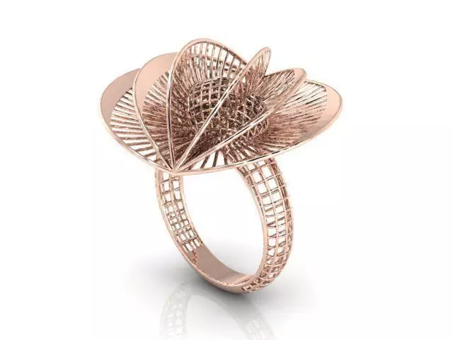 Ring ultra vision 3D print model_0