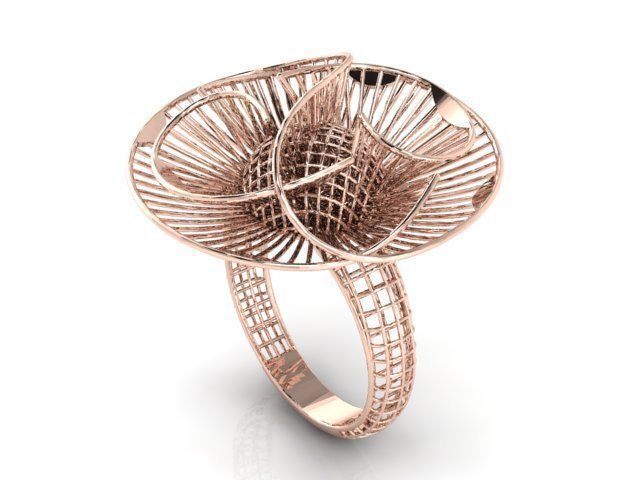 Ring ultra vision 3D print model