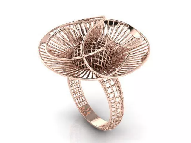 Ring ultra vision 3D print model_0