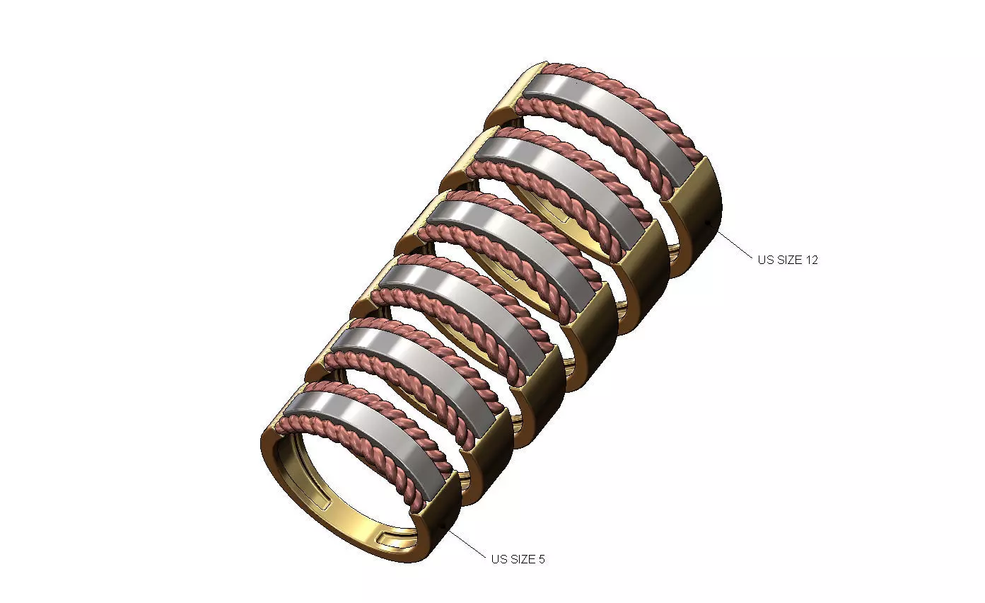 Strip and braided rope ornament 2 tone ring US sizes 5to10 3D print model