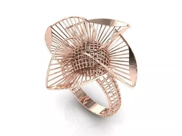 Ring ultra vision 3D print model