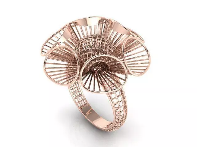 Ring ultra vision 3D print model_0