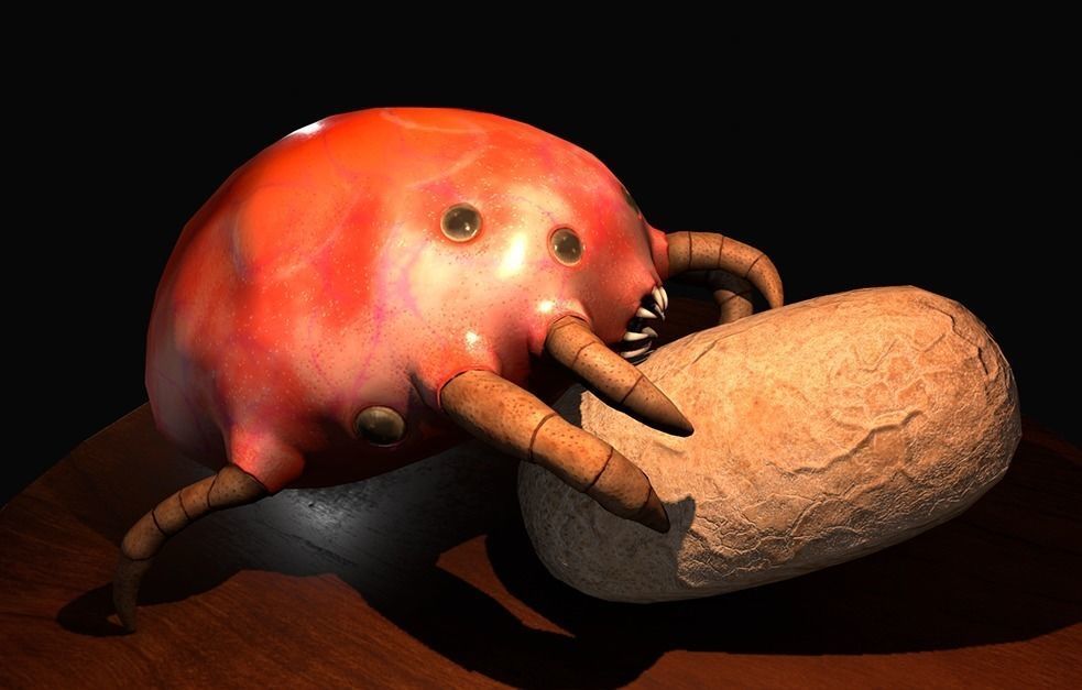 Worker Insect guarding an egg Low-poly 3D model_14