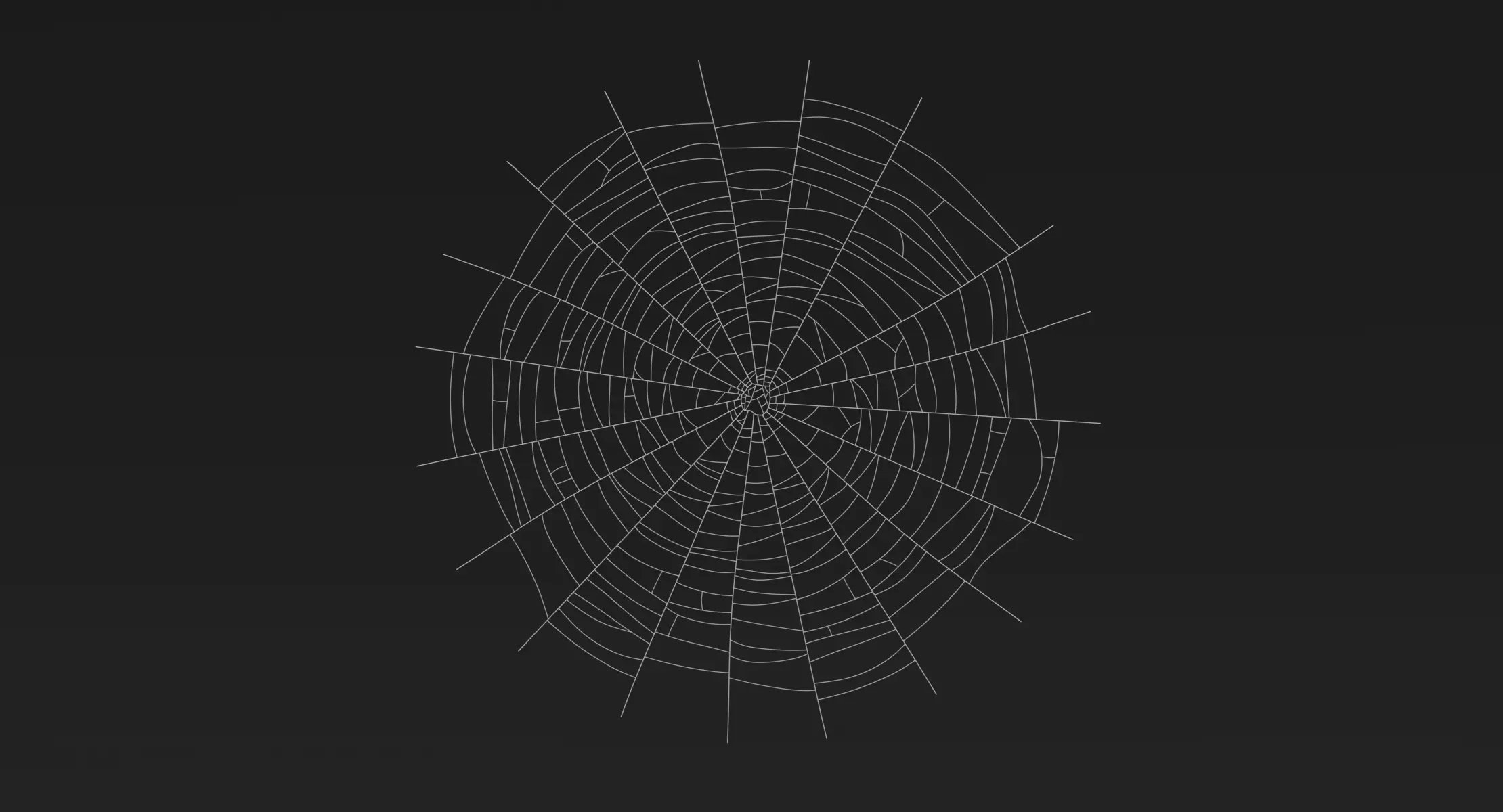 Cobweb - Spider Web 3D model