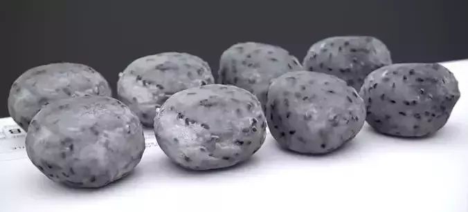 BLACK SESAME MOCHI 2025 3D model 2