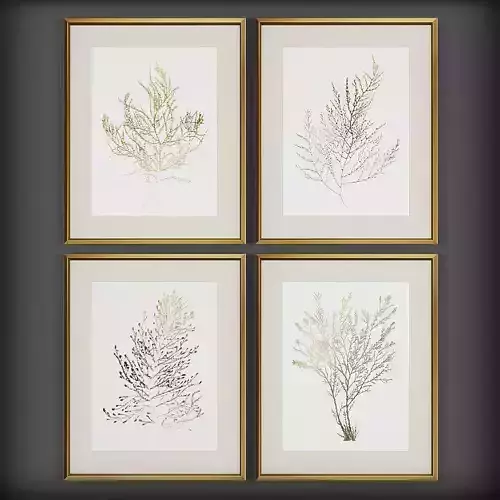 Picture Frames Low-poly 3D model