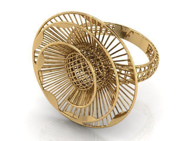 Ring ultra vision 3D print model_1