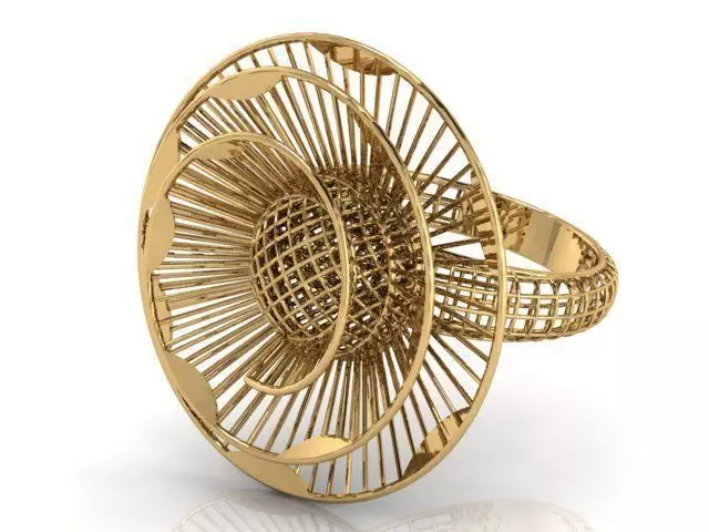 Ring ultra vision 3D print model_0