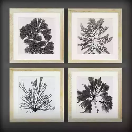 Picture Frames Low-poly 3D model