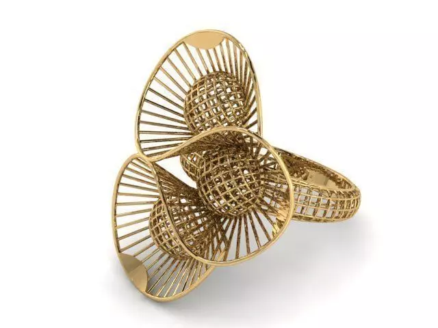 Ring ultra vision 3D print model_0