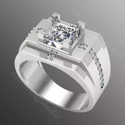 Ring bi151 3D print model