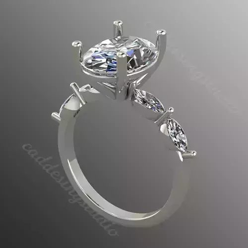 Ring bi156 3D print model