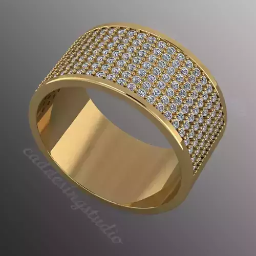 Ring bi157 3D print model