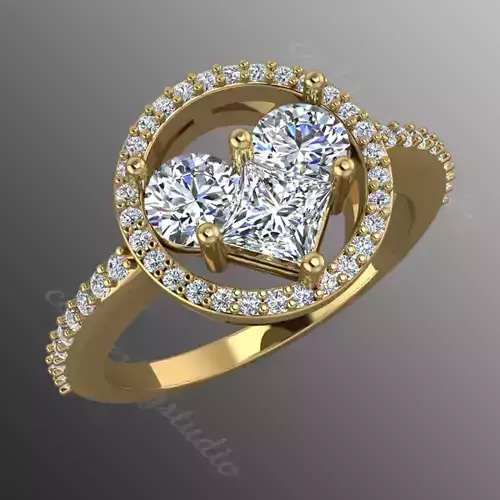 Ring bi160 3D print model