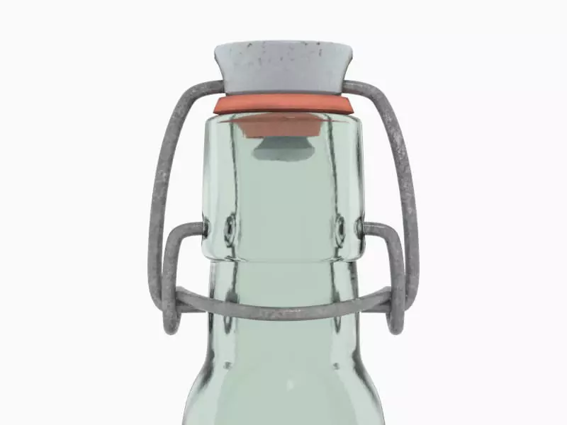 Rubber-sealed bottle 50CL 3D model_0