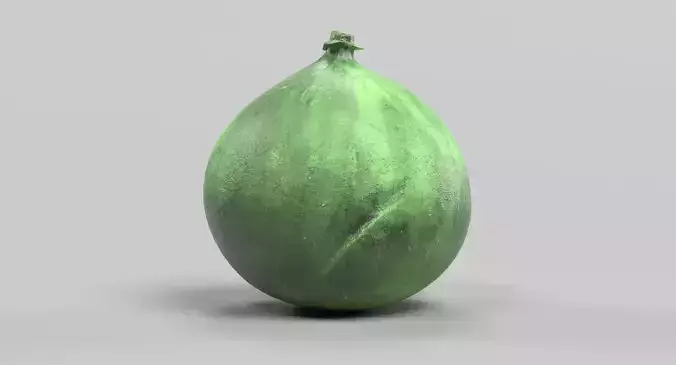 Fig - Green Fresh Fruit 3D model 3