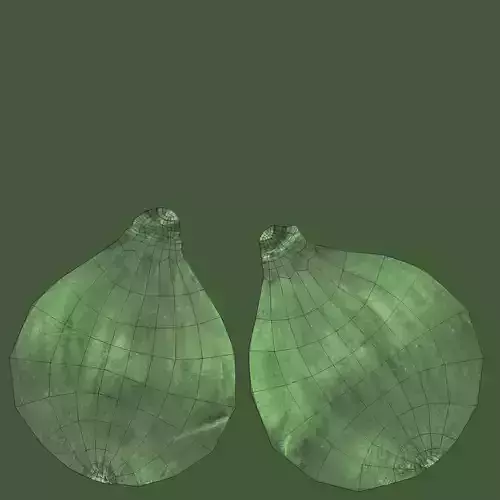 Fig - Green Fresh Fruit 3D model 7