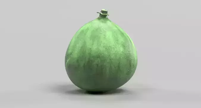 Fig - Green Fresh Fruit 3D model 2