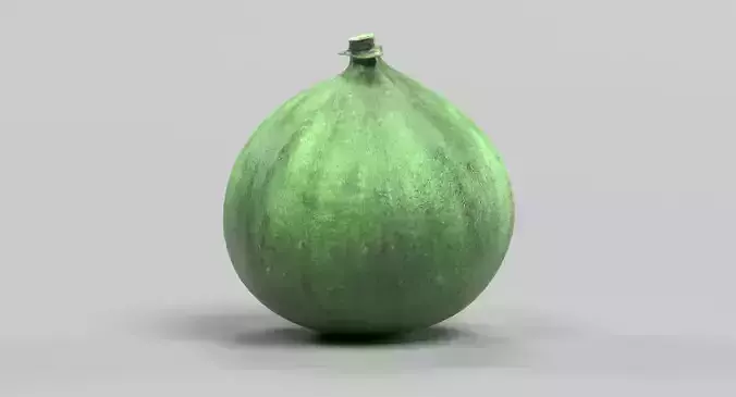 Fig - Green Fresh Fruit 3D model