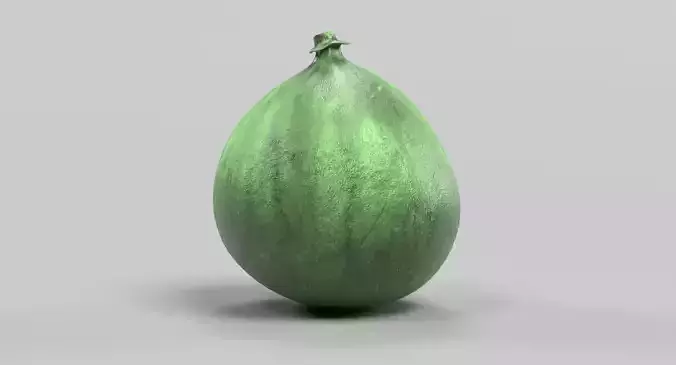 Fig - Green Fresh Fruit 3D model 4