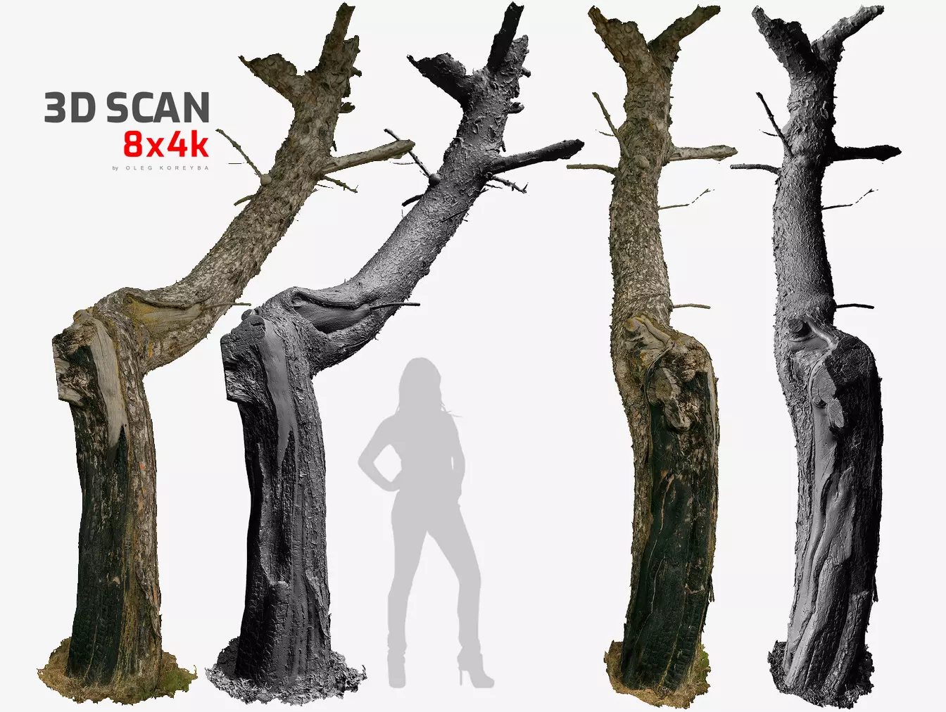 Burnt Pine Charred Tree Trunk 8x4k 3x16k Textures RAW 3D Scan 3D model