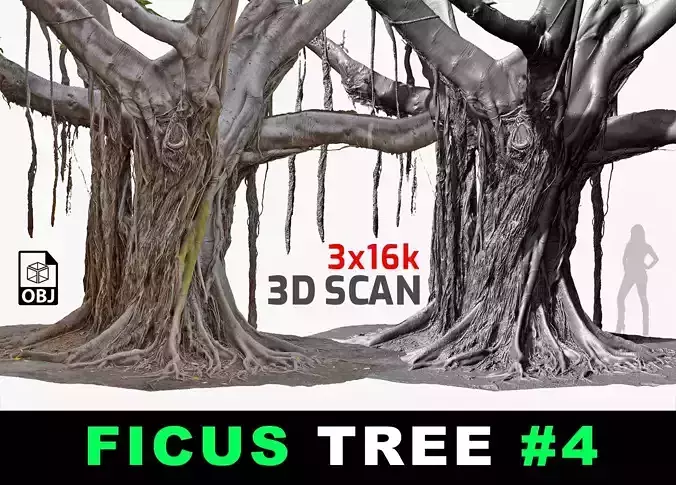 Giant Ficus Tree 5 Ultra HQ mesh 2x16k 3x16k Textures 3DScan