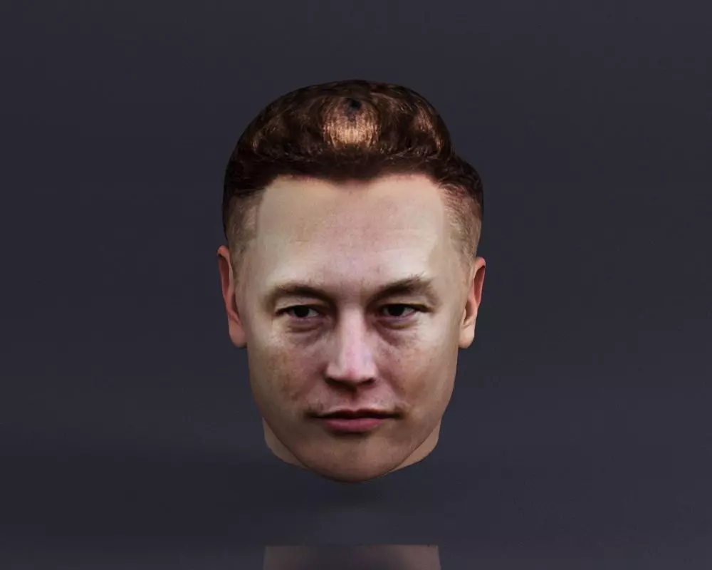 S00066 Elon Musk Head 3D print model