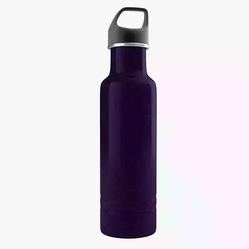 Reusable Water Bottle 1